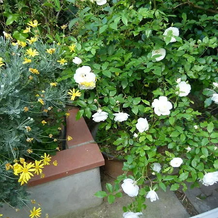 Au Palais Des Rois De Majorque Appartement Perpignan