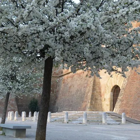Au Palais Des Rois De Majorque *