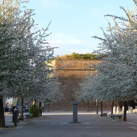 Au Palais Des Rois De Majorque Περπινιάν