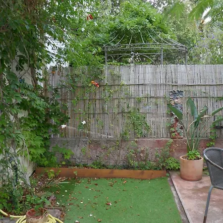 Au Palais Des Rois De Majorque Daire