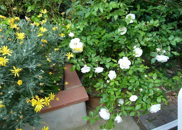 Au Palais Des Rois De Majorque Appartement Perpignan