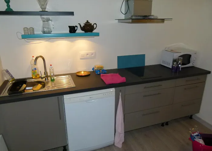 Au Palais Des Rois De Majorque