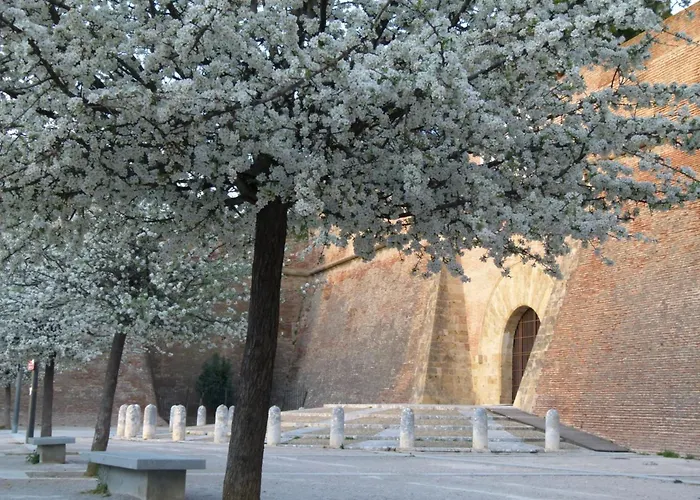Au Palais Des Rois De Majorque *