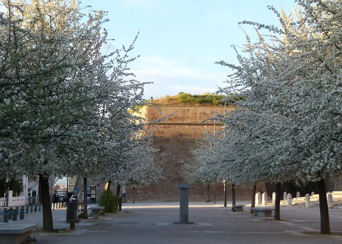 Au Palais Des Rois De Majorque Perpignan