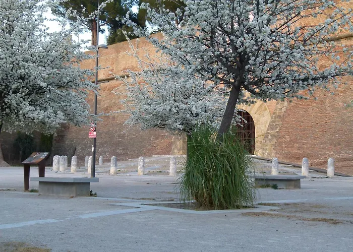 Au Palais Des Rois De Majorque Perpignan