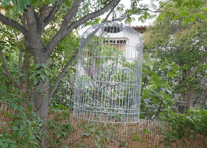Au Palais Des Rois De Majorque * Perpignan