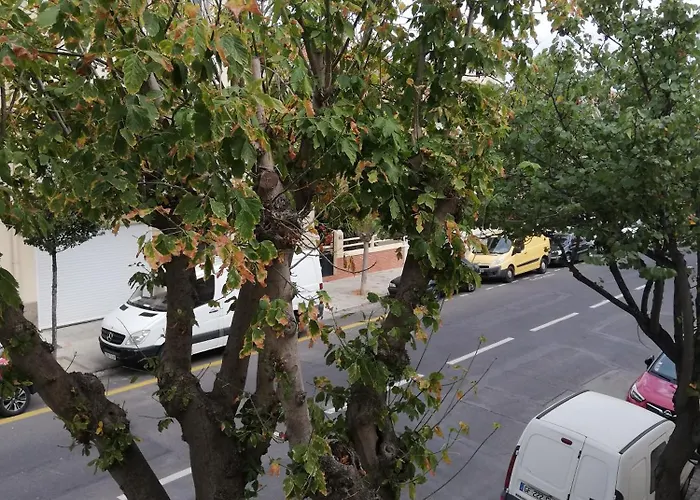 Au Palais Des Rois De Majorque Appartement Perpignan